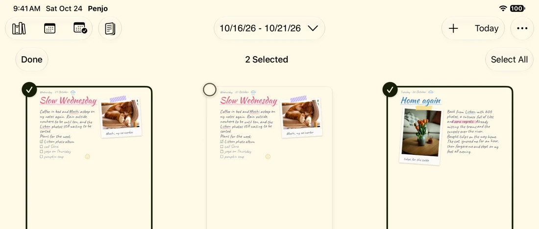 The Sheet List on iPad with two of three days selected